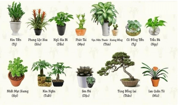 Bài trí bàn làm việc tuổi Giáp tuất 1994 hợp phong thủy mang đến may mắn, thịnh vượng2